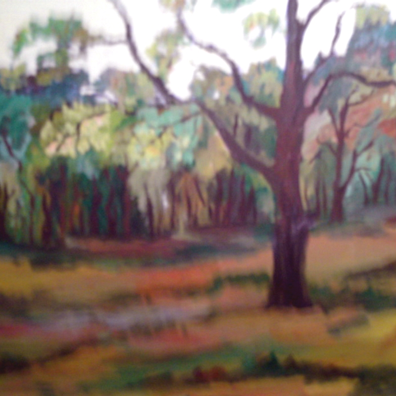 Peisaj din Burdujeni,  ulei pe pânză, 40x32 cm-2006